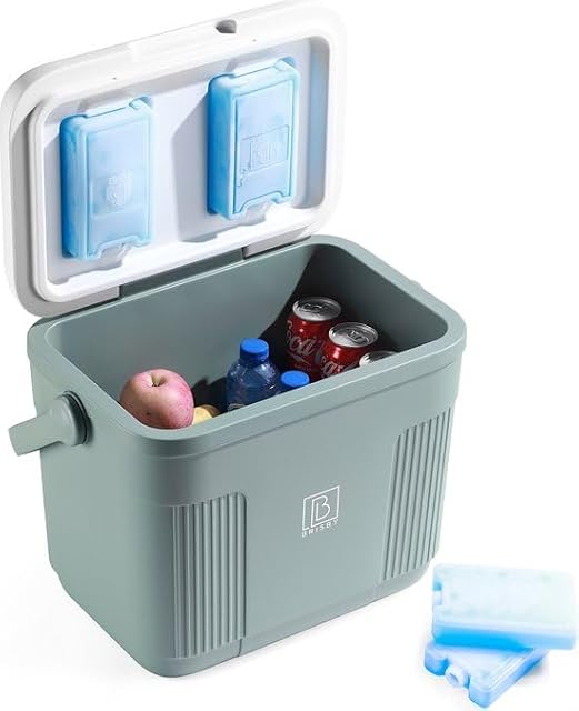 Contenitore frigo passivo Brisby verde da 22 litri con piastre eutettiche montate nel coperchio